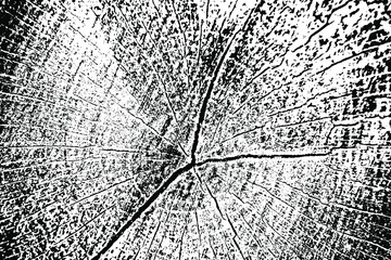 Monochrome background of dry wood cut. Grunge texture of the top of the stump with annual rings, cracks, veins and spots. Overlay template. Vector illustration
