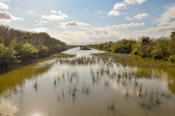 Fototapeta premium Parc natural de s’Albufera de Mallorca swamp landscape