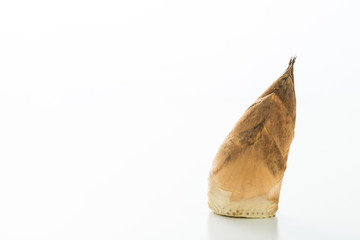 春の味覚、合馬のたけのこ　北九州市小倉南区名産