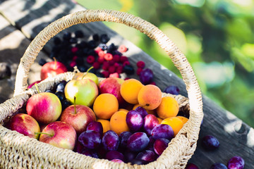 Harvest. Ripe apples, apricots, plums in a wicker basket, blackberries, raspberries, gooseberries on the wooden table in the garden on a Sunny summer day . Natural dessert. 