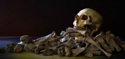 The skull biting bone in the mouth on pile of bone and on dark background