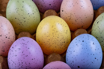 Easter multicolored eggs in a tray, beautiful bright, easter background