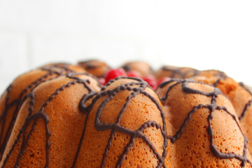 Homemade cake with berries and chocolate icing. Very sweet cake. Dessert concept