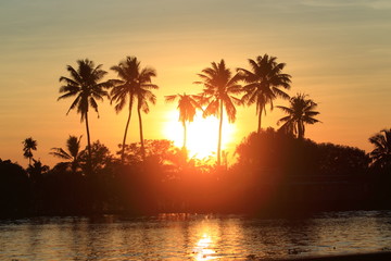 Fototapeta na wymiar silhouette of palmtrees in the sunset
