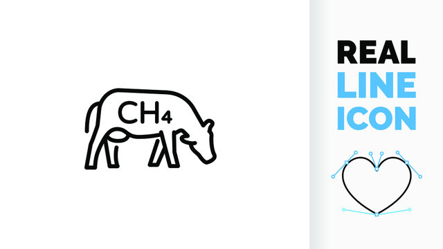 Vector editable line icon of a cow grazing but causing global warming by emitting methane CH4 as line art in a black stroke style on a white background