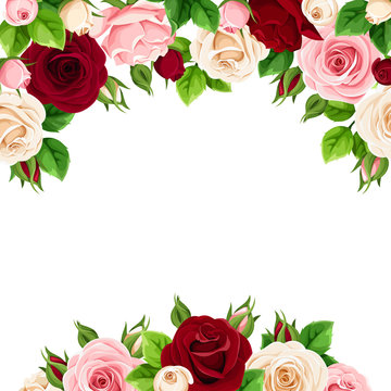 Vector greeting or invitation card with pink, burgundy and white roses.