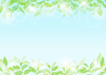 Fototapeta premium 水彩風 青空と葉っぱのイラストフレーム（ヨコ） 