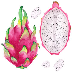 Watercolor illustration of dragon fruit or pink pitaya. Set of whole, sliced and half.