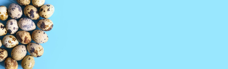 Fototapeta premium pile of quail eggs on a blue background. space for text. banner