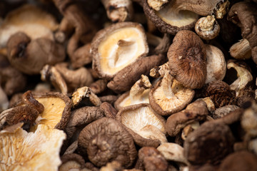 Dry mushrooms in a grocery store. Texture photo of food shown in a market stall