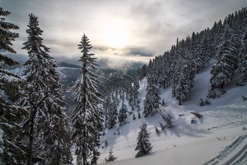 Fototapeta na wymiar Wonderful winter landscape in Giant Mountains, Czech Republic