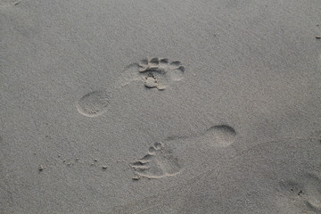 Fototapeta na wymiar Footsteps in the sand on a wet beach