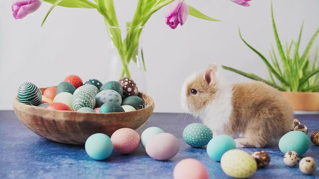 Cute Easter bunny on table with colorful eggs and tulips. Easter holiday decorations, Easter concept background.