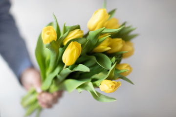 Fototapeta Żółte tulipany obraz