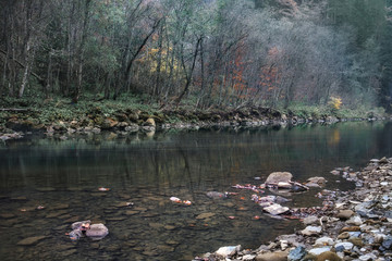 Mountain river in autumn time. Rocky shore. Colorful forest