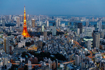 Tokyo aerial view