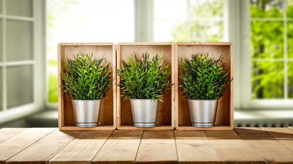 Desk of free space and spring window space 