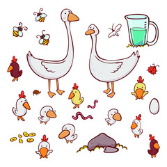 Set. Farm birds. Farming. Baby vector illustration.
