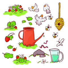  set-objects-garden plants. vector illustration.