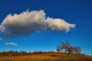 Fototapeta premium Tuscan countryside landscape with looming cloud near Manciano Tuscany Italy
