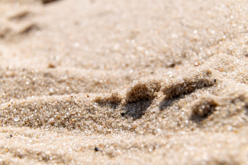 Fototapeta na wymiar sand closeup on the beach on a sunny day