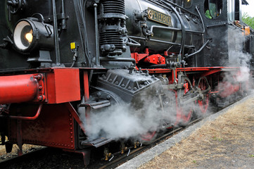 kuckucksbähnel im bahnhof elmstein