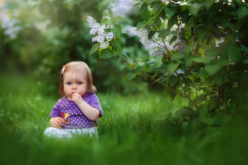 little girl crawling sitting in the grass at the lilac Bush, spring has come, cute baby, may, flowering