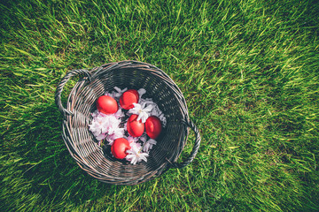 Easter colored eggs.