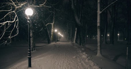 Snowfall in park at night with glowing street lights - Powered by Adobe
