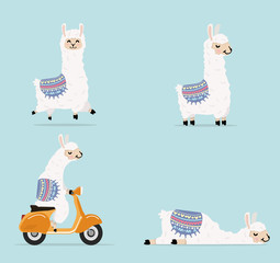 Cartoon llama and alpaca character set © focus_bell