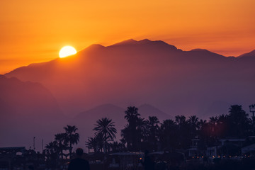 Fototapeta premium Sun set on the beach. 