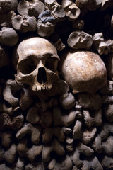 esqueleto, cuerpo humano, craneo, muerte, enfermedad, pandemia, infeccion, virus, sueños, pesadilla, calavera, medicina, anatomia, sepultura, cementerio, triste, tristeza, huesos, humano,