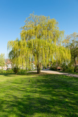 Deutschland, Niedersachsen, Ostfriesland, Emden, Parkanlage Emder Wall und Stadtgraben.
