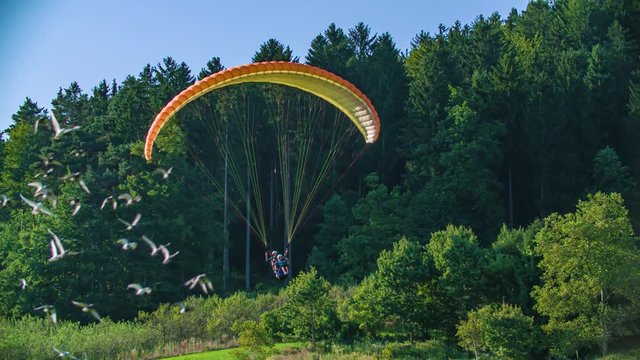 Paragliding in tandem man and child in Slovenj Gradec, Slovenia.