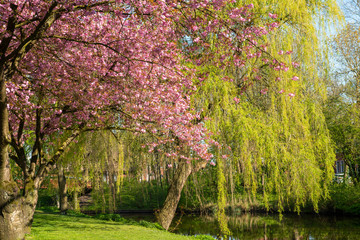 Deutschland, Niedersachsen, Ostfriesland, Emden, Parkanlage Emder Wall und Stadtgraben.