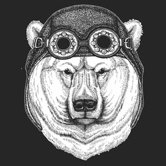 Polar bear portrait. Aviator leather helmet. Head of wild animal