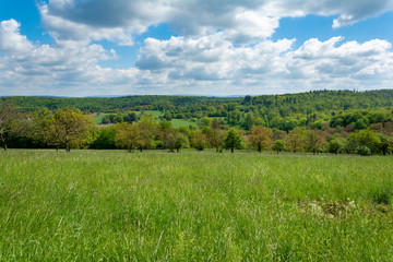 Obraz premium Deutschland, Baden-Württemberg, Pfinztal, Landschaft im Frühling.