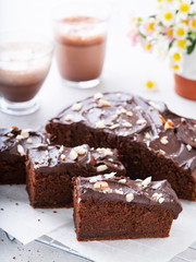 Homemade chocolate cake with chocolate ganache and chopped nuts served with cacao drink in a bright morning setting. Vegan, diet concept, sugar free. Selective focus.