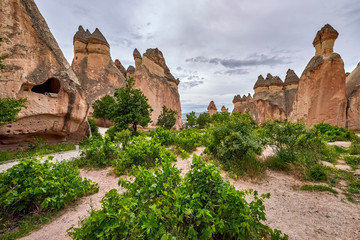 Fototapeta na wymiar Cappadocia, a historical land located in the north-east of Turkey. 