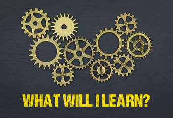 What will I learn?