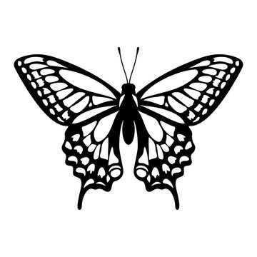Butterfly stencil, vector illustration