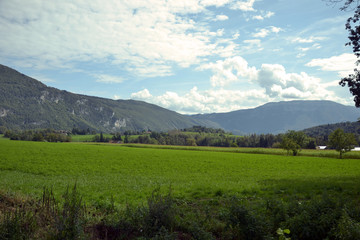 Fototapeta premium Several fields, with one with corn. There is also forets, and big mountains on background. It is the french Alps.