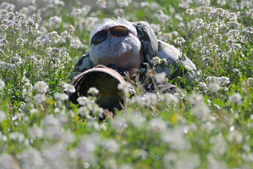 wildlife photographer on photo safari