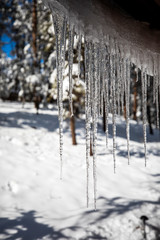 Fresh icicles hanging from a rooftop melt during a warm spring day, following a late-season snow storm in Bailey, Colorado.