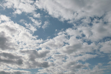 Naklejka premium clouds clouds many clouds