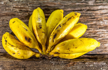Bunch of fresh bananas (Musa sapientum) on wooden background