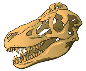 Hand Drawn Cartoon Illustration of Dinosaur Skull isolated on white background, paleontology symbol. Archeology Sticker