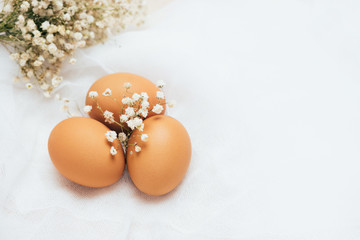 Brown fresh hen's eggs decorated with flowers on white background. Eco-friendly egg production....