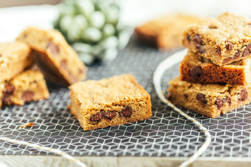 Chocolate Chip Blondie Squares