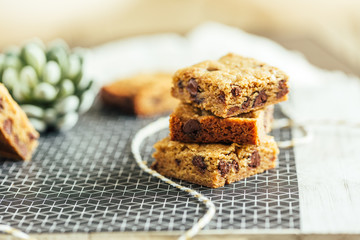 Chocolate Chip Blondie Squares